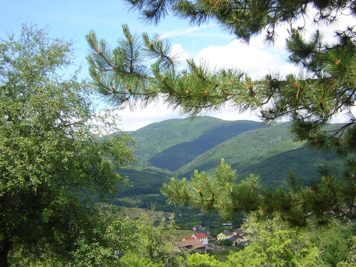 Gite Leonline Sur Les Hauteurs De Masevaux -Au Pied Des Vosges Bagian luar foto