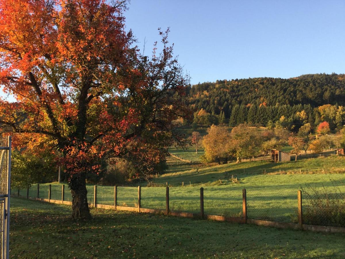 Gite Leonline Sur Les Hauteurs De Masevaux -Au Pied Des Vosges Bagian luar foto