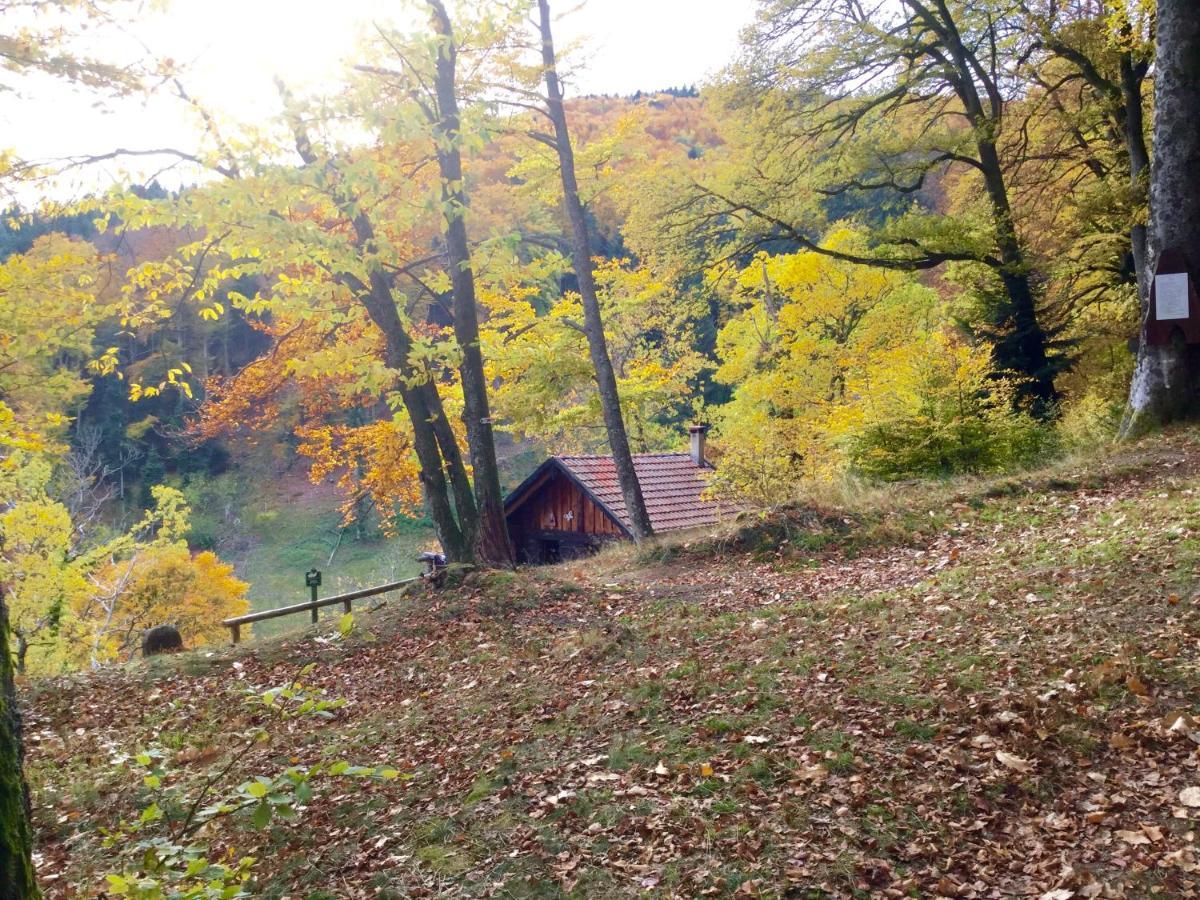 Gite Leonline Sur Les Hauteurs De Masevaux -Au Pied Des Vosges Bagian luar foto