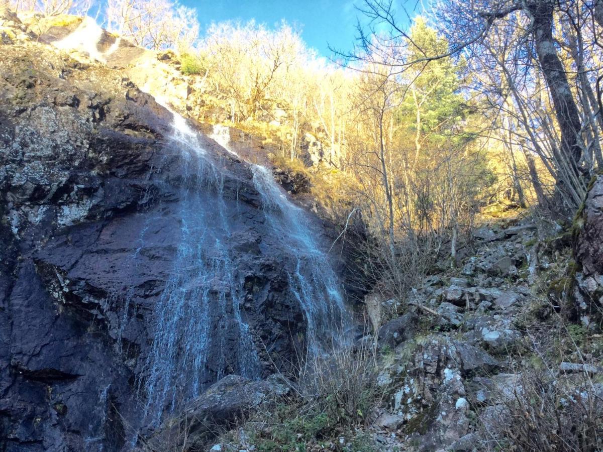 Gite Leonline Sur Les Hauteurs De Masevaux -Au Pied Des Vosges Bagian luar foto