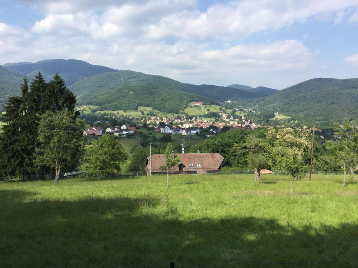 Gite Leonline Sur Les Hauteurs De Masevaux -Au Pied Des Vosges Bagian luar foto