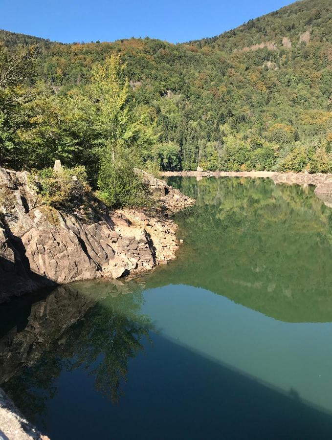 Gite Leonline Sur Les Hauteurs De Masevaux -Au Pied Des Vosges Bagian luar foto