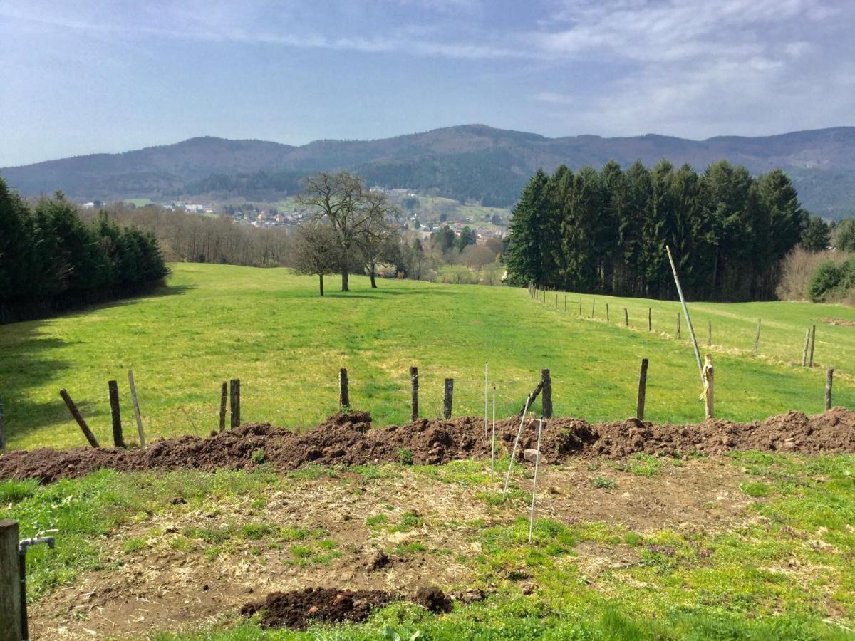 Gite Leonline Sur Les Hauteurs De Masevaux -Au Pied Des Vosges Bagian luar foto