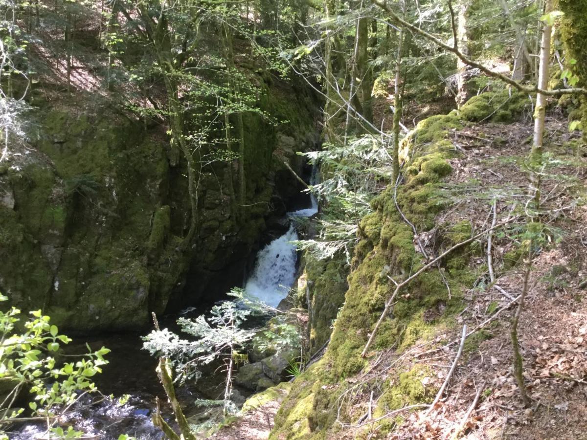 Gite Leonline Sur Les Hauteurs De Masevaux -Au Pied Des Vosges Bagian luar foto