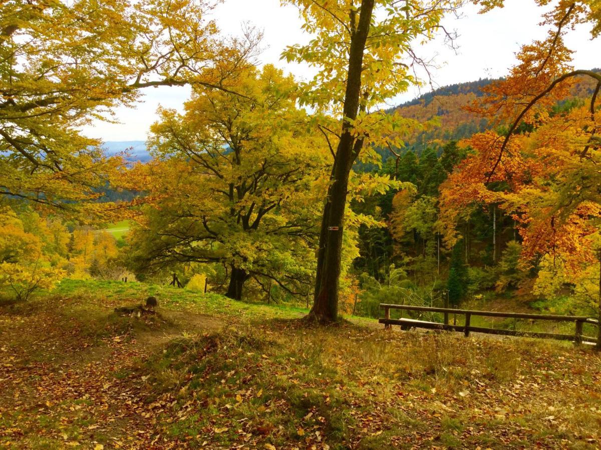 Gite Leonline Sur Les Hauteurs De Masevaux -Au Pied Des Vosges Bagian luar foto