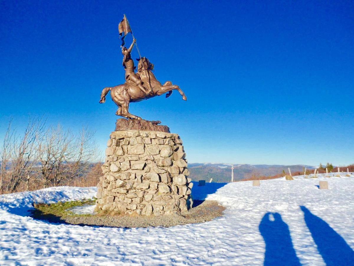 Gite Leonline Sur Les Hauteurs De Masevaux -Au Pied Des Vosges Bagian luar foto