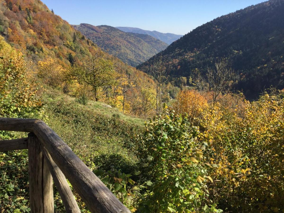Gite Leonline Sur Les Hauteurs De Masevaux -Au Pied Des Vosges Bagian luar foto