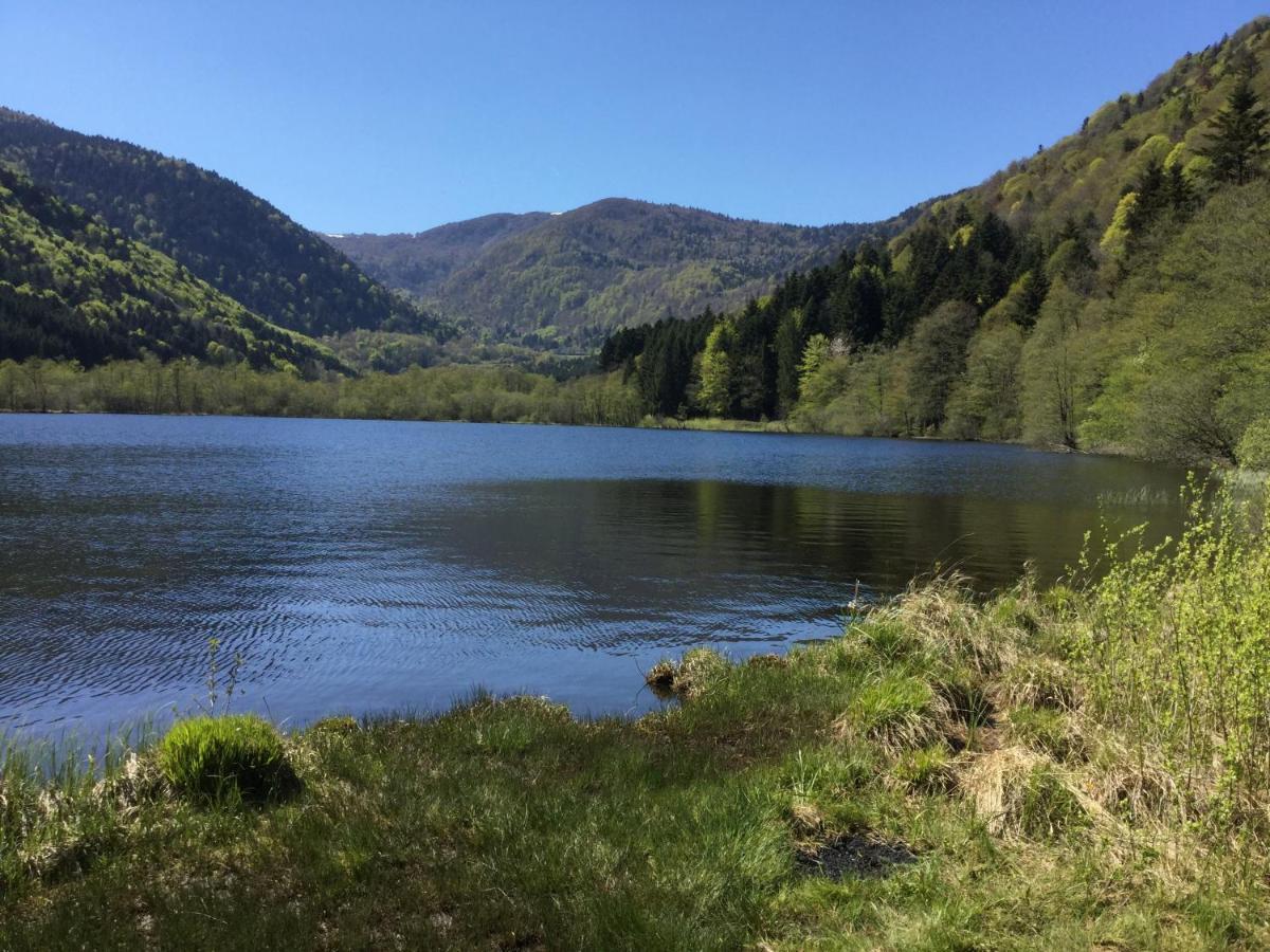 Gite Leonline Sur Les Hauteurs De Masevaux -Au Pied Des Vosges Bagian luar foto