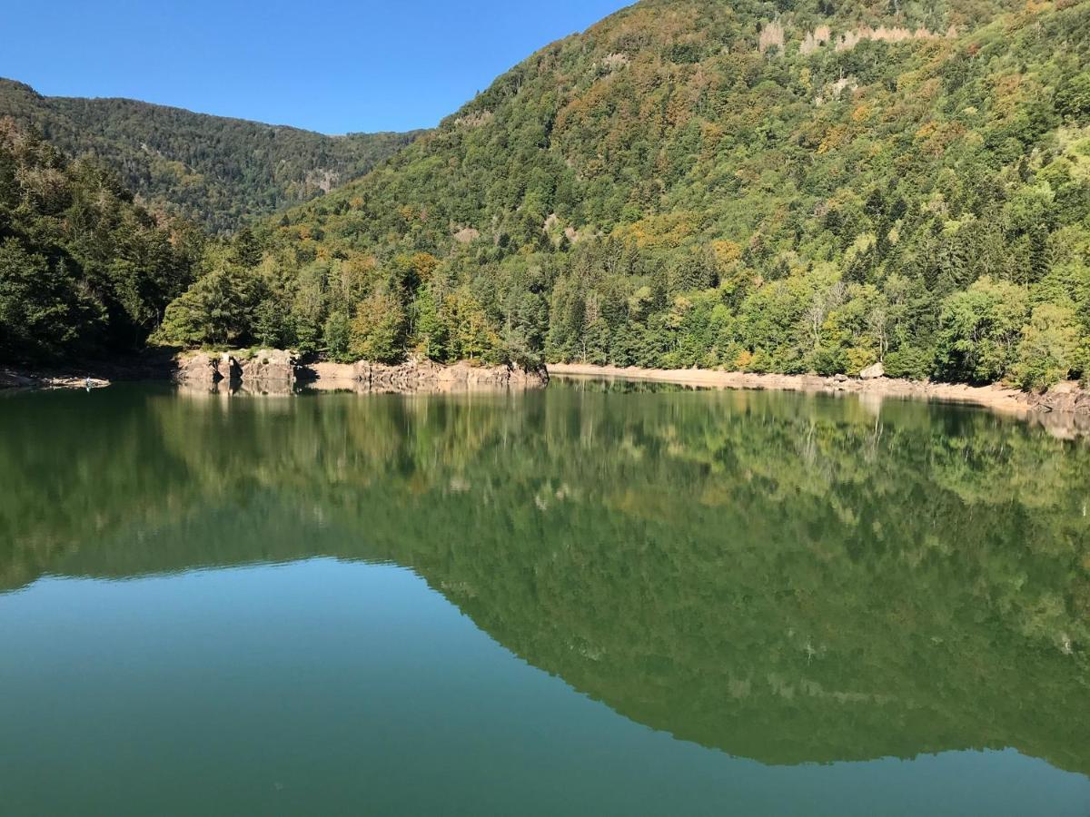 Gite Leonline Sur Les Hauteurs De Masevaux -Au Pied Des Vosges Bagian luar foto
