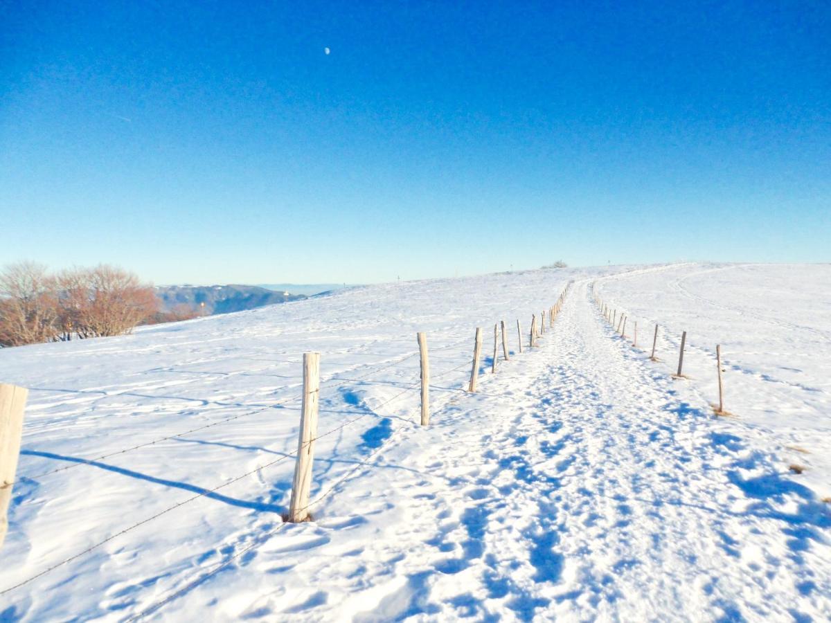 Gite Leonline Sur Les Hauteurs De Masevaux -Au Pied Des Vosges Bagian luar foto