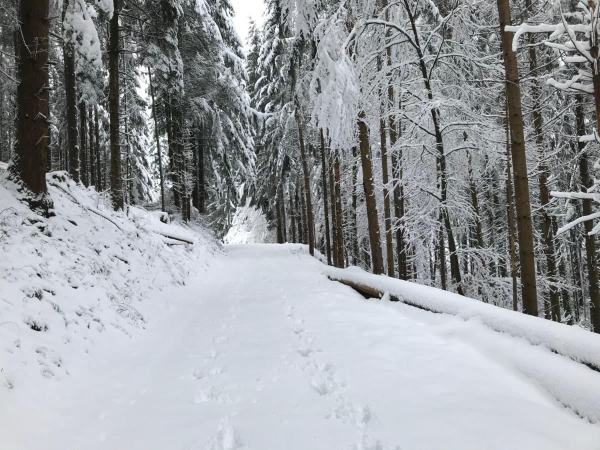 Gite Leonline Sur Les Hauteurs De Masevaux -Au Pied Des Vosges Bagian luar foto