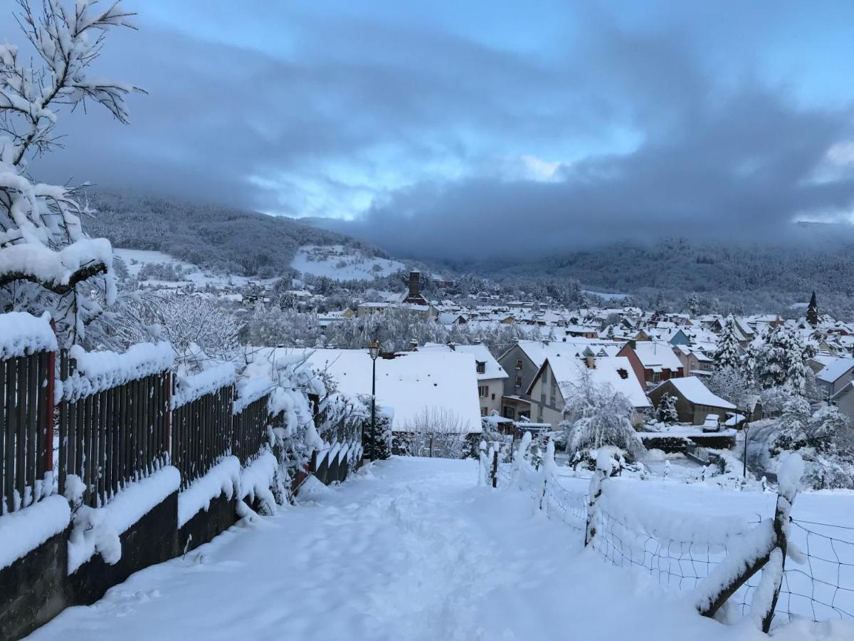 Gite Leonline Sur Les Hauteurs De Masevaux -Au Pied Des Vosges Bagian luar foto