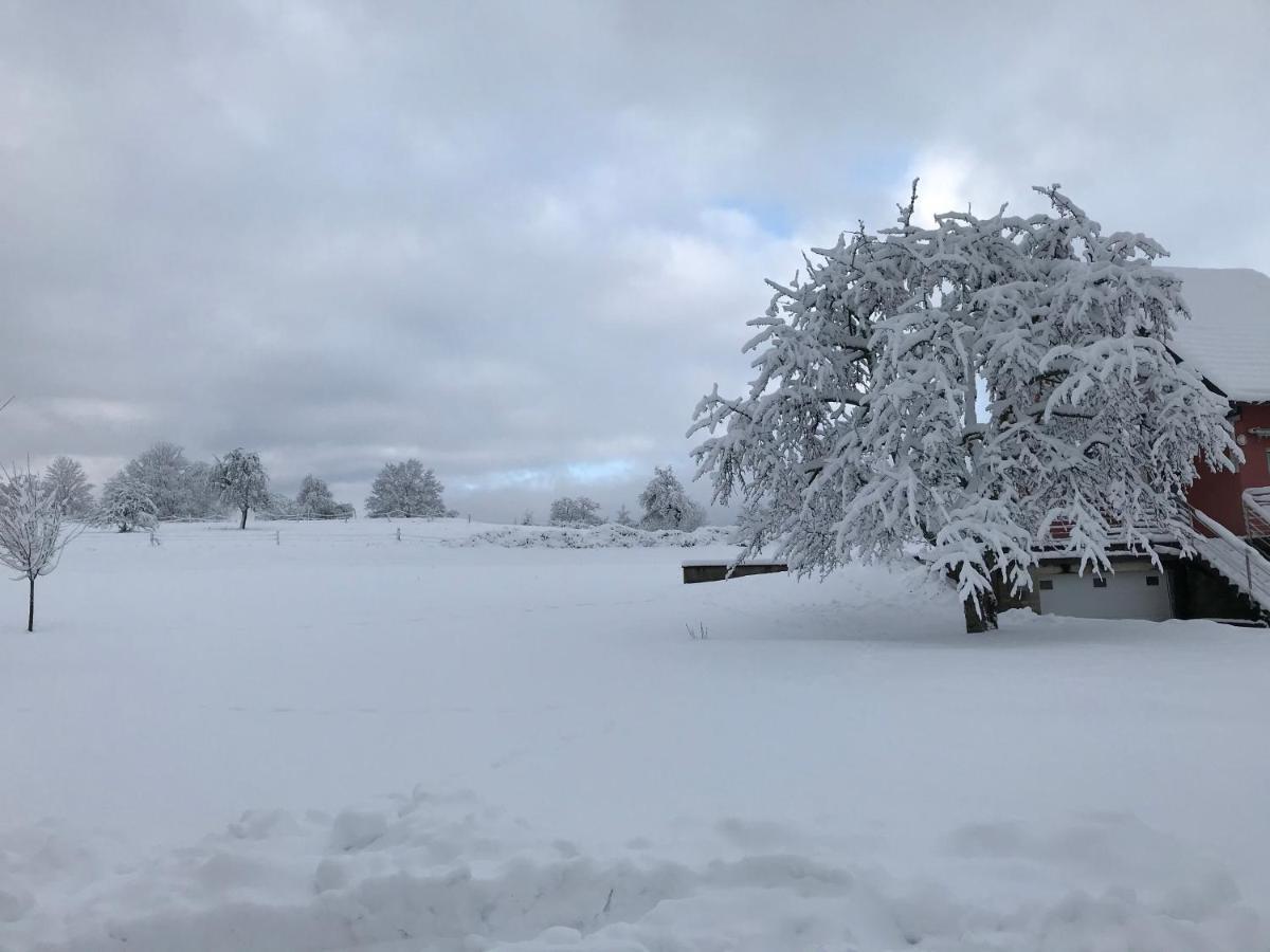 Gite Leonline Sur Les Hauteurs De Masevaux -Au Pied Des Vosges Bagian luar foto