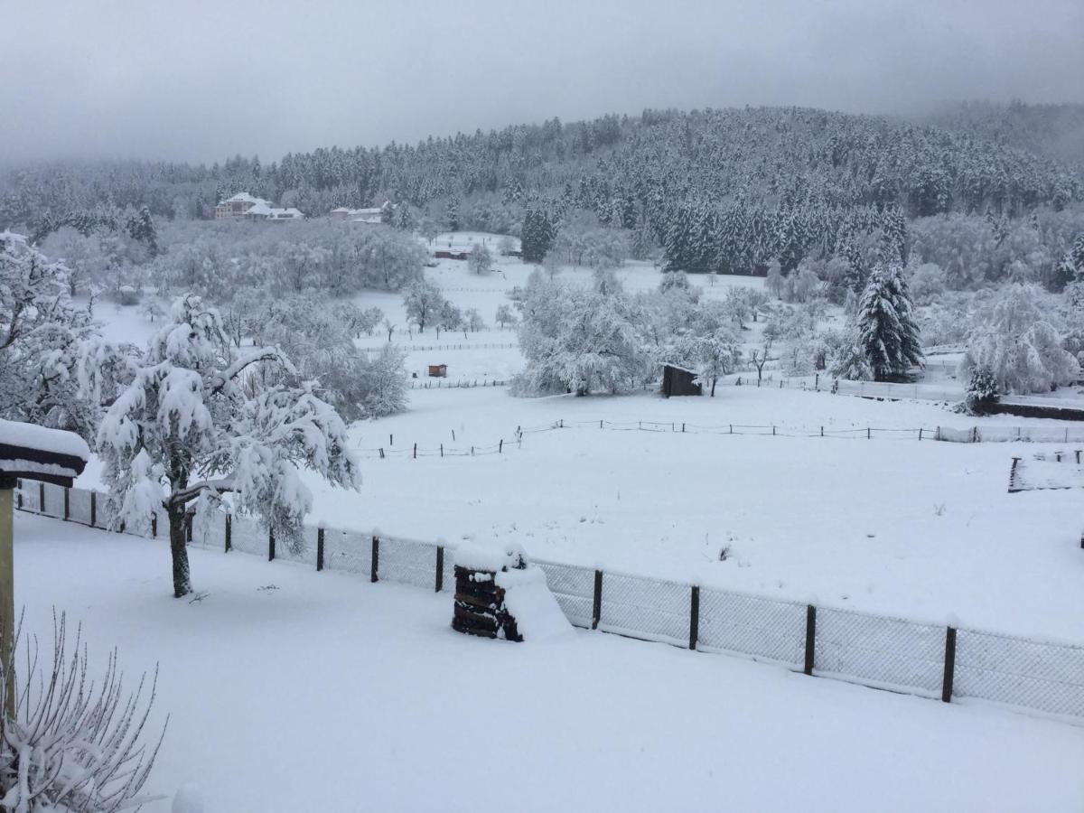 Gite Leonline Sur Les Hauteurs De Masevaux -Au Pied Des Vosges Bagian luar foto