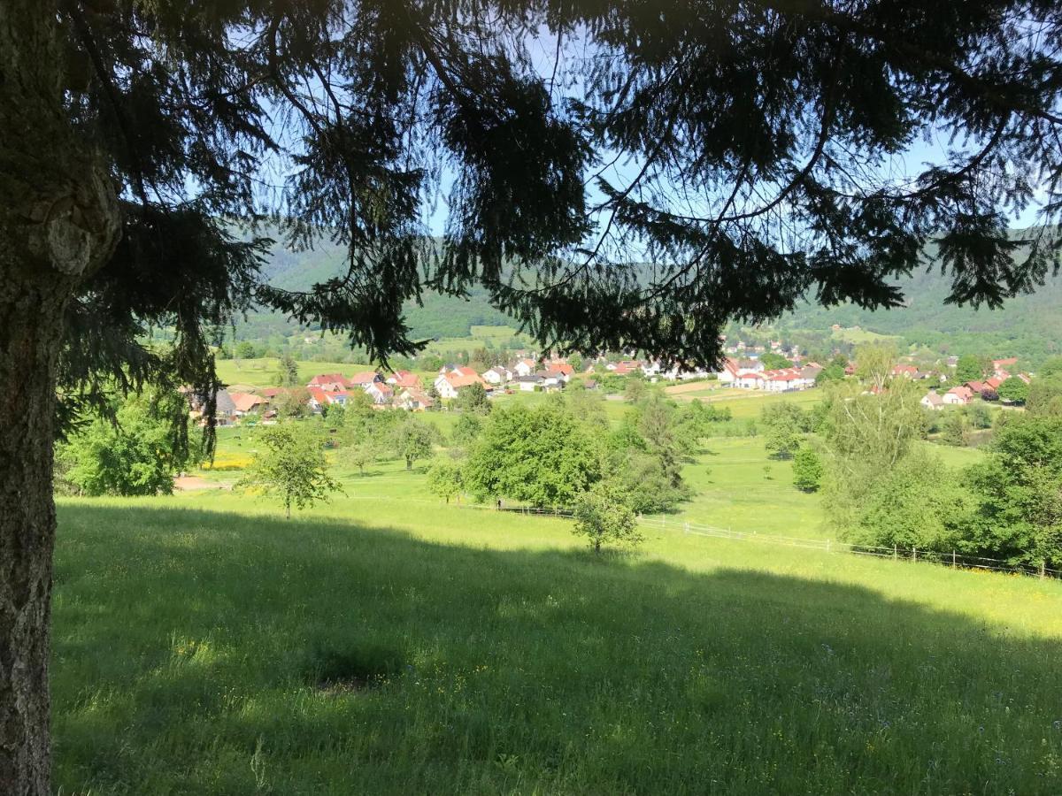Gite Leonline Sur Les Hauteurs De Masevaux -Au Pied Des Vosges Bagian luar foto